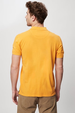 Polo - Moutarde - Harmont & Blaine Jeans