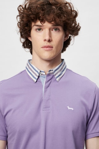 Polo Malva - Harmont & Blaine