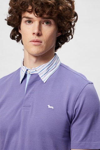 Polo Violeta - Harmont & Blaine
