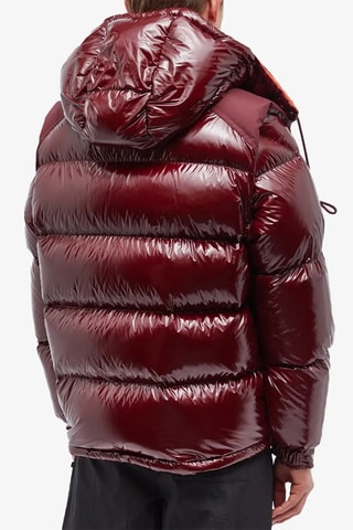 Blusão com capuz Karakorum - Bordô