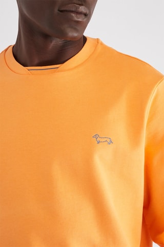Sweat - Laranja - Harmont & Blaine