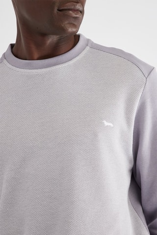 Sweat - Cinzento - Harmont & Blaine