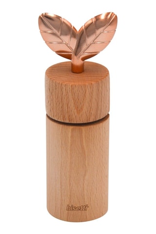 Moulin à poivre et sel en hêtre Printemps d'or