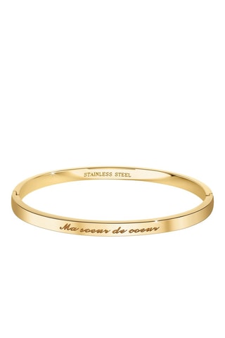 Pulseira rígida Cor à escolha