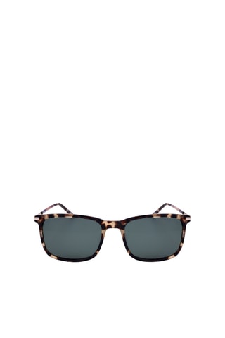 Lunettes de soleil homme - Catégorie 2 - Calvin Klein