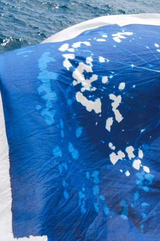 Paréo en coton biologique Cyanotype - Bleu