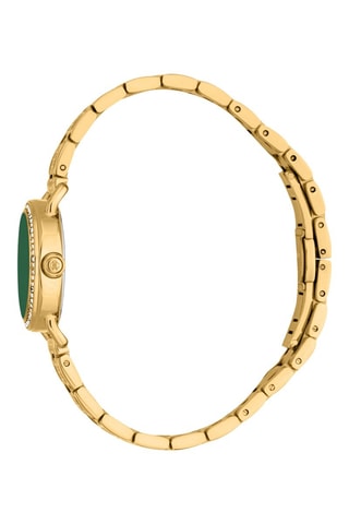 Montre à quartz en acier - Doré et vert