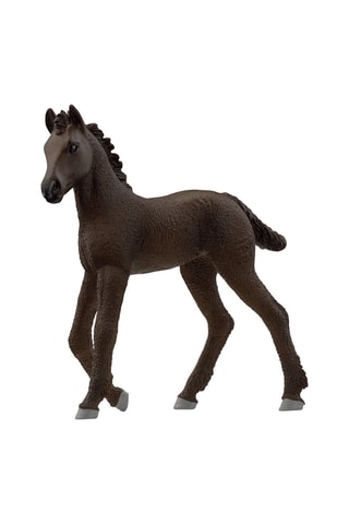 Poulain Frison Horse Club - Dès 5 ans