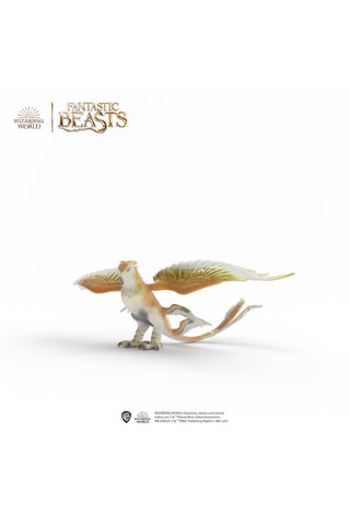 Dondervogel - Vanaf 6 Jaar