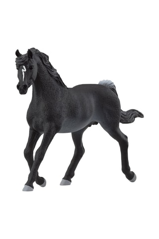 Étalon Arabe Horse Club - Dès 5 ans