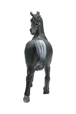 Étalon Arabe Horse Club - Dès 5 ans