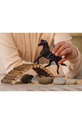 Étalon Arabe Horse Club - Dès 5 ans