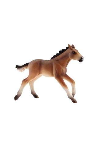 Mustang veulen- Vanaf 3 Jaar