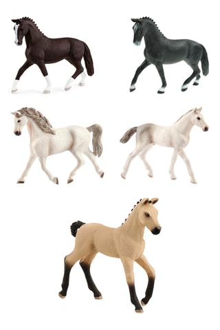 Chevaux de Race - Europe