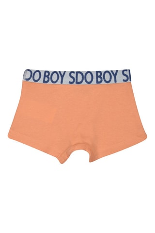 3 boxers - Beige et bleu