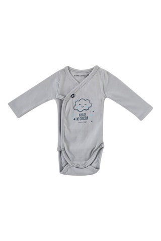 2 bodys en coton biologique Ewen - Bleu et gris