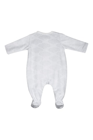 Grenouillère - Gris