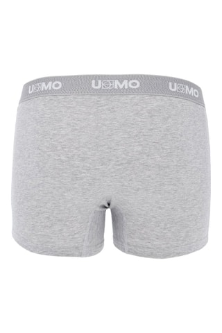 Bóxer - Gris jaspeado