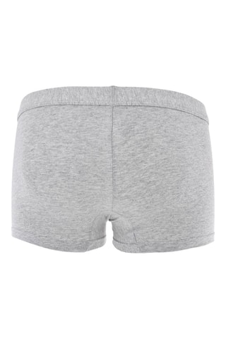 Bóxer - Gris jaspeado