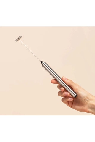 Fouet électrique en acier inoxydable