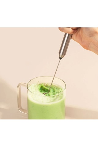 Fouet électrique en acier inoxydable