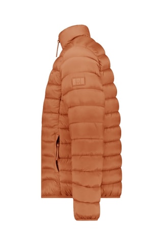 Cazadora Amitalek - Camel