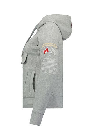 Sudadera con capucha Gyrelle - Gris