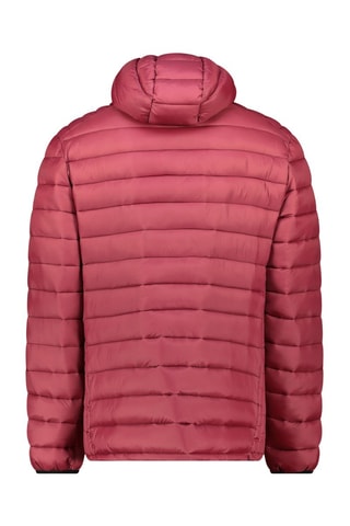 Anorak regular fit con capucha Carliteak - Burdeos