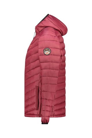 Anorak regular fit con capucha Carliteak - Burdeos