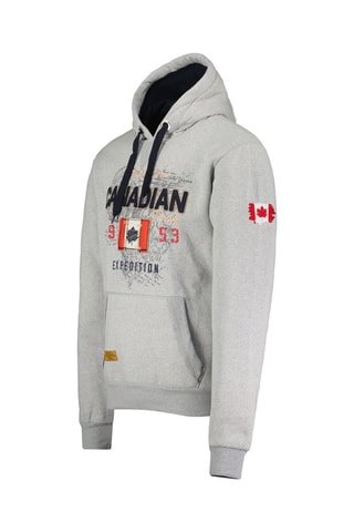 Sudadera Guitreak - Gris