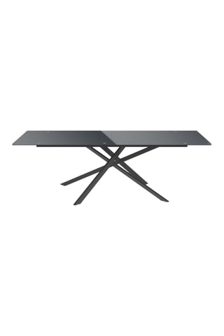 Table de jardin plateau en verre trempé gris et pieds croisés 240cm