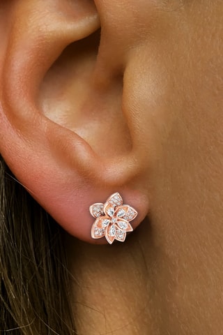 Puces - Argent plaqué or rose