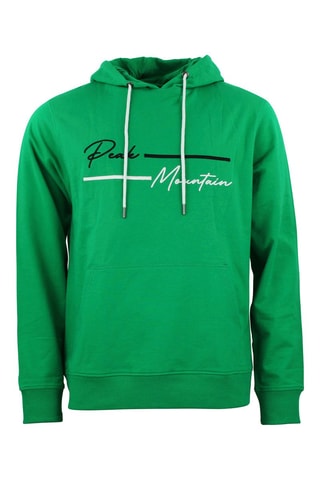 Sweater met Capuchon Codek Groen - Groen