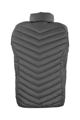 Bodywarmer Cavil Grijs - Grijs