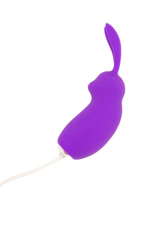 Vibrator Rabbit met Afstandsbediening 
Paars - 9 cm