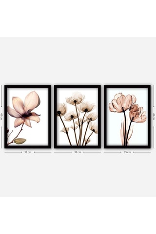 3 Wanddecoraties - 35 x 45 cm