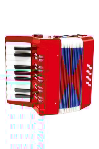 Acordeón - De 6 a 48 meses
