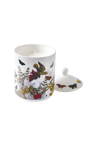 Vela perfumada de porcelana Jardin D’hiver - Higuera -