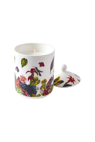 Vela perfumada de porcelana Jardin Tropical - Higuera