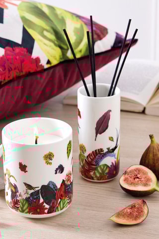 Vela perfumada de porcelana Jardin Tropical - Higuera