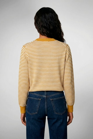 Casaco de malha - Mostarda e cru