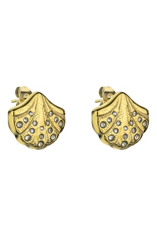 Conjunto CoralCove - Circones