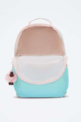 Rugtas dip and dye Seoul - Poederroze en Turquoise