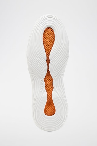 Baskets en cuir Fluctis - Beige