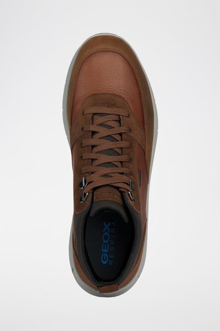 Baskets montantes en cuir Spherica - Marron