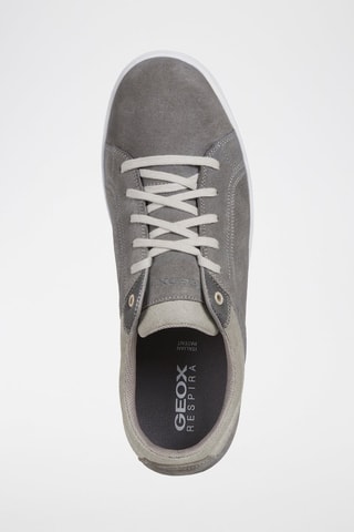 Baskets en nubuck Warrens - Anthracite