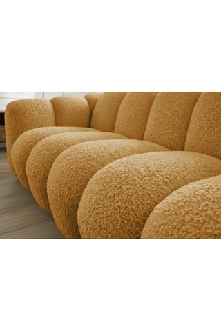 Zetel Hippolute - Geel