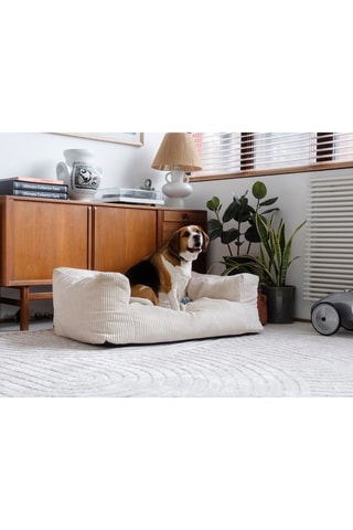 Panier pour chien Salto – Beige - En velours côtelé - XL