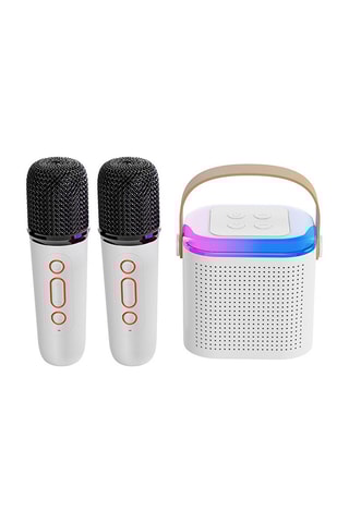 Karaoke Speaker EKO - 2 microfoons - Bluetooth