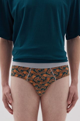 5 slips en coton biologique - Vert foncé et blanc